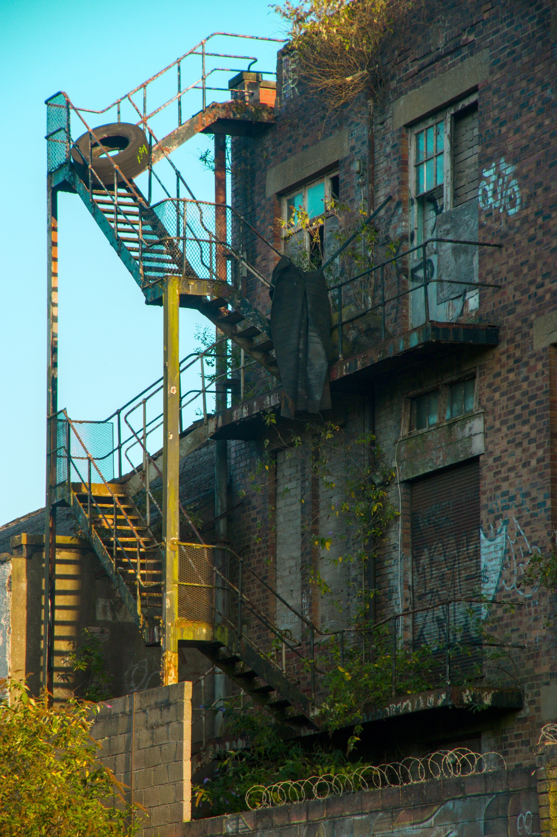 Rusting external fire escape climbs a graffiti-marked brick building with boarded openings, turquoise-painted panes and weeds growing along the landings.