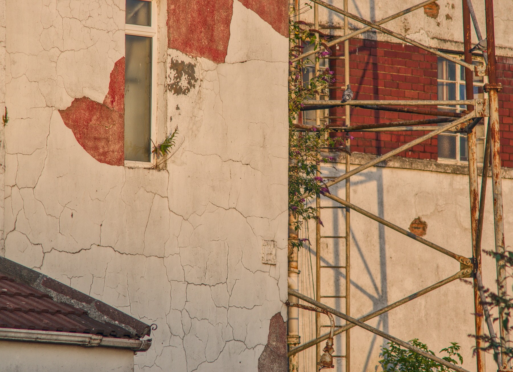 Cracked white and red peeling render on an industrial building beside rusted metal scaffolding, with weeds growing through the structure.
