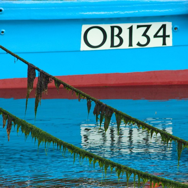 Close view of blue boat OB134 with a red stripe and pink-red buoy, crossed by two algae-covered ropes above rippling reflections.