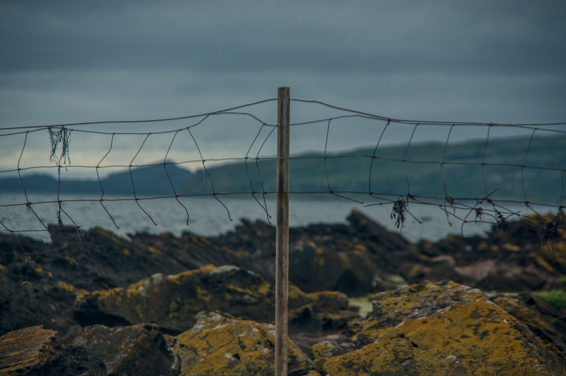 Weathered wire-mesh fence on a wooden post above lichen-covered coastal rocks, with the sea and a dark distant shoreline beneath heavy clouds at Portencross, Ayrshire.