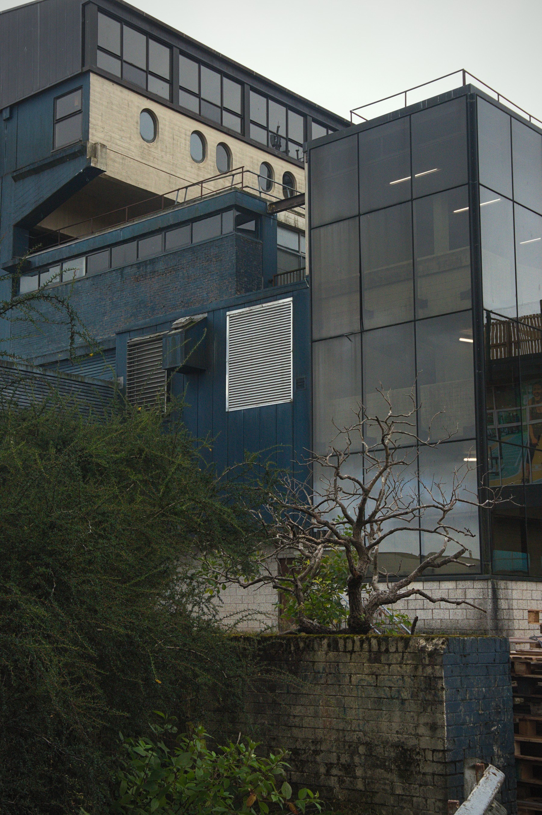 Exterior of a shopping centre building with a dark glazed tower beside blue-painted brickwork, circular windows in a white brick band, and dense shrubs around a bare small tree in a brick planter.