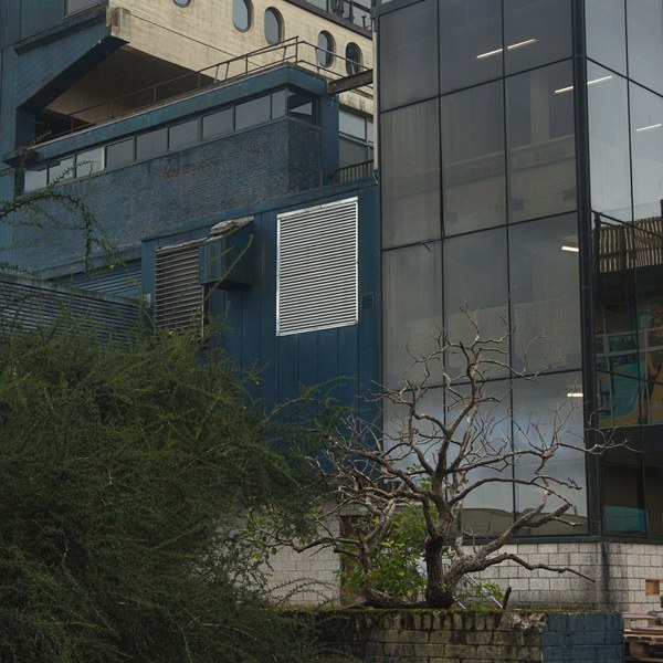 Exterior of a shopping centre building with a dark glazed tower beside blue-painted brickwork, circular windows in a white brick band, and dense shrubs around a bare small tree in a brick planter.