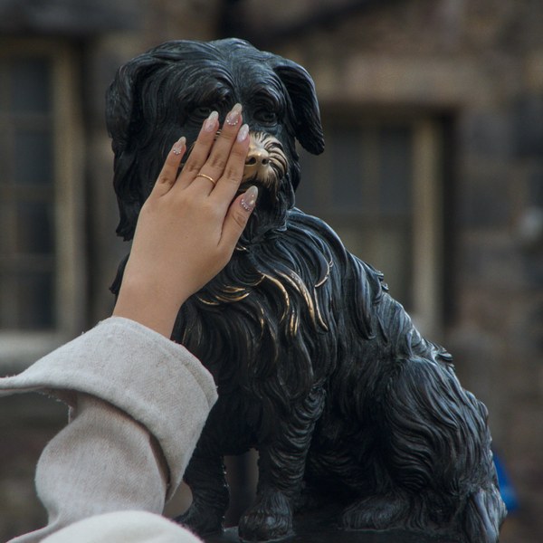 A hand with glittered nails rests across the face of a dark bronze dog sculpture, with a stone building blurred behind.