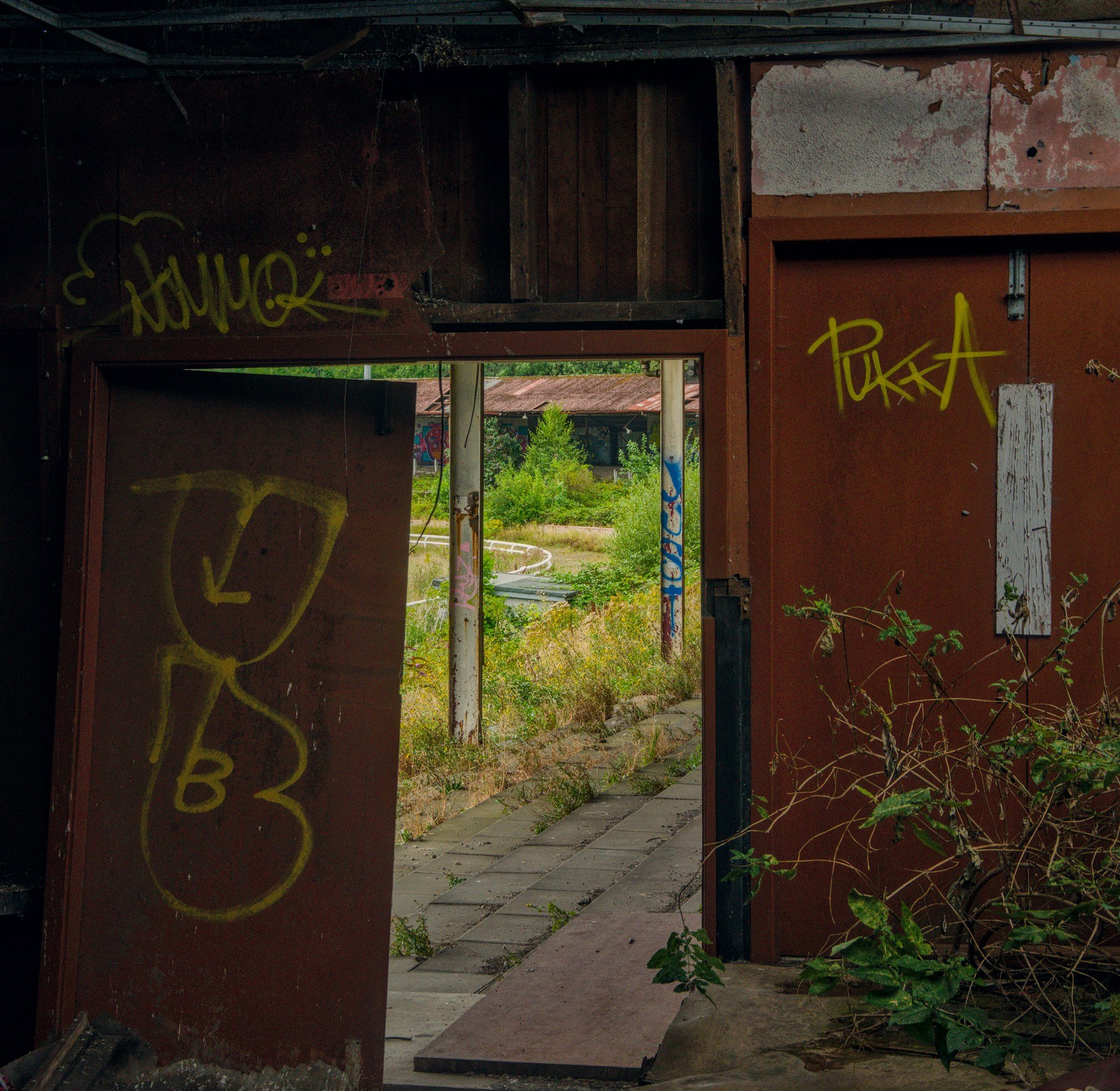 Open rust-brown metal doorway with yellow tags frames an overgrown paved yard and weathered structure beyond.