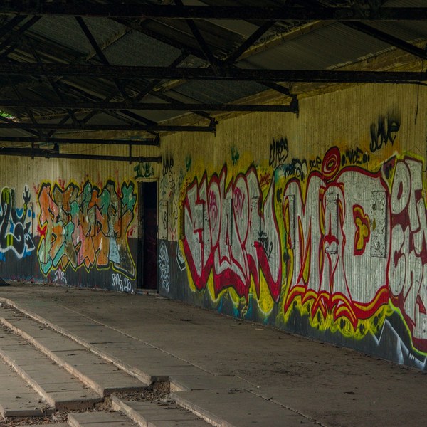 Interior of a disused corrugated-metal shelter, with a long wall covered in multicoloured graffiti, exposed roof trusses, cracked concrete flooring and stepped seating at left.