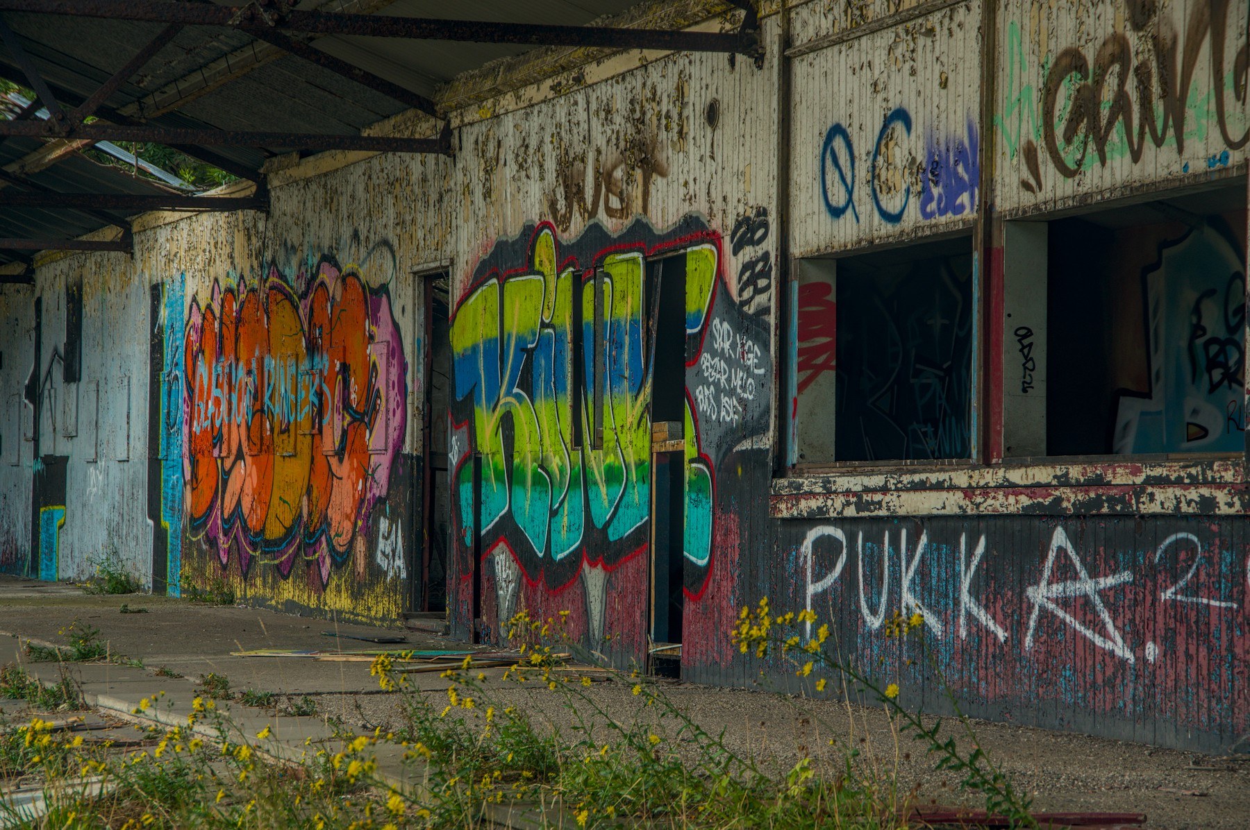 Colourful graffiti covers corrugated metal cladding beside two dark, open window bays, with yellow wildflowers growing through cracked concrete under a rusting roof.