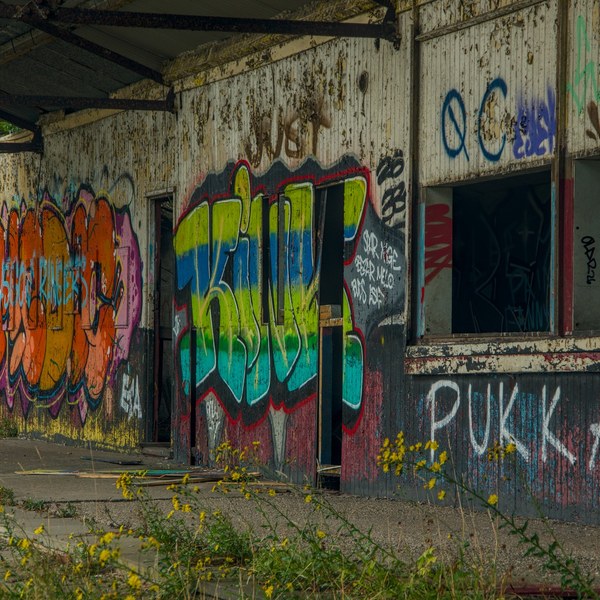 Colourful graffiti covers corrugated metal cladding beside two dark, open window bays, with yellow wildflowers growing through cracked concrete under a rusting roof.