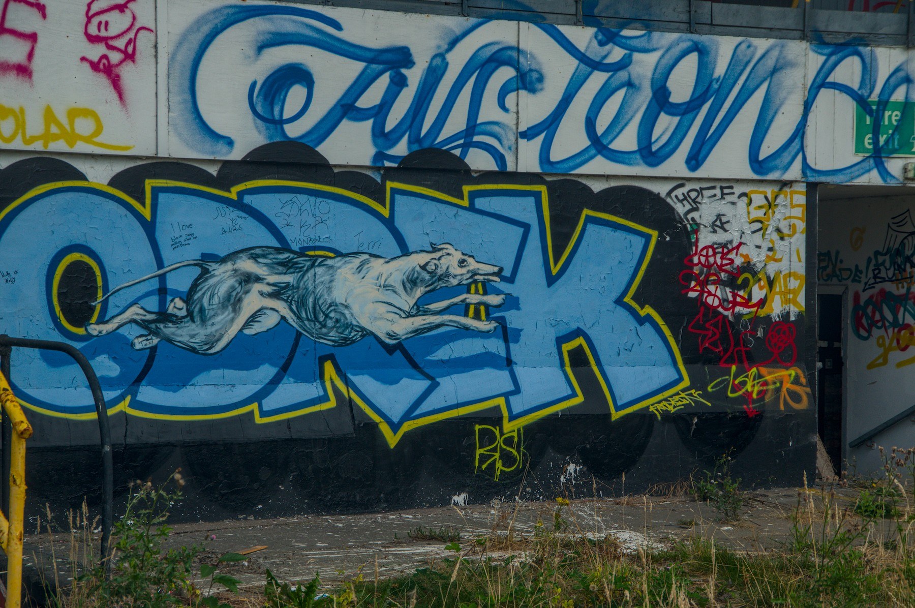 Blue graffiti mural of a leaping dog over large outlined letters on a weathered wall, with dense tags beside a recessed entrance and weeds in the foreground.