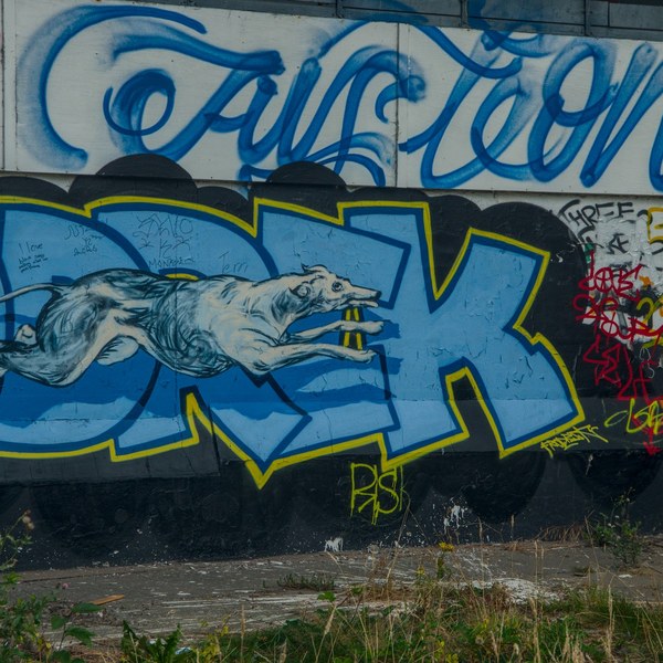 Blue graffiti mural of a leaping dog over large outlined letters on a weathered wall, with dense tags beside a recessed entrance and weeds in the foreground.