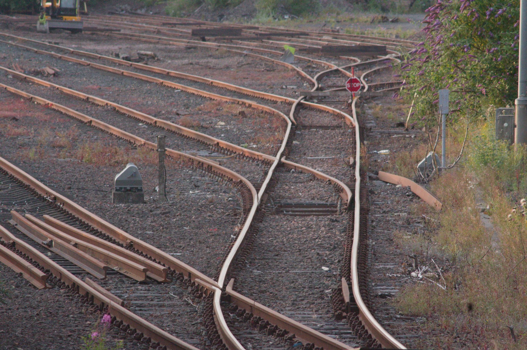 Multiple railway tracks and switch points converge across a gravel rail yard, with a red stop sign beside an overgrown embankment.