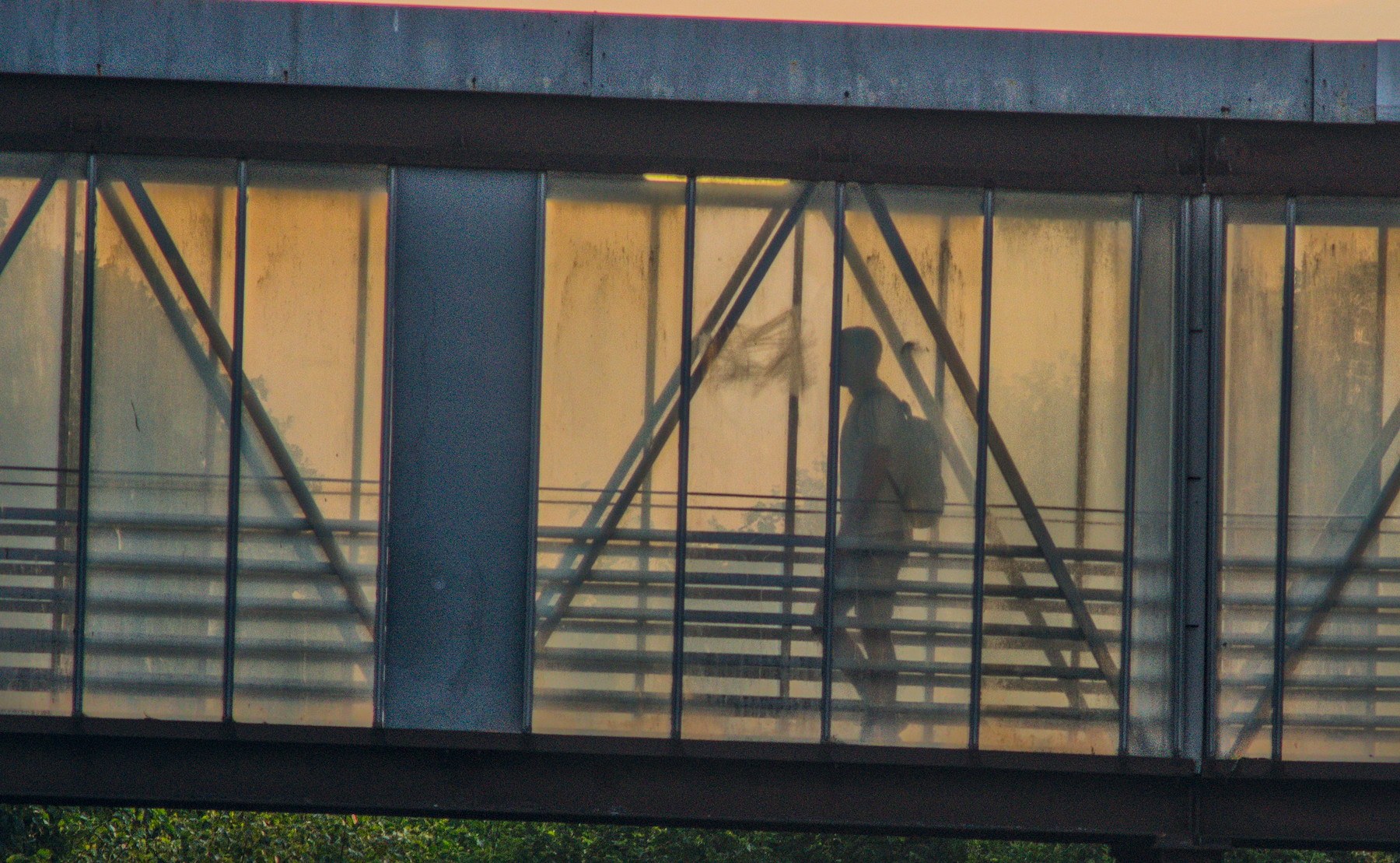 Silhouetted person walking through a glass-sided pedestrian bridge, framed by dark steel supports and warm evening light.